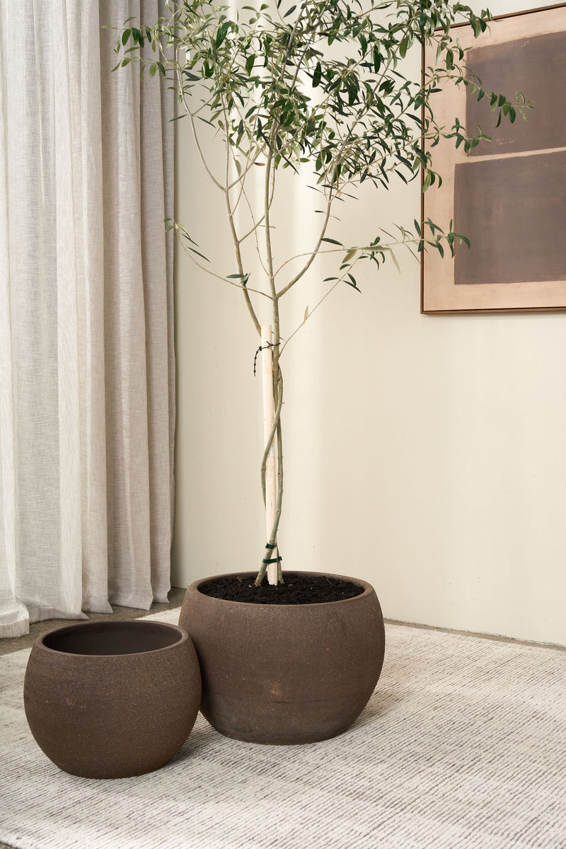 Sabi Pot