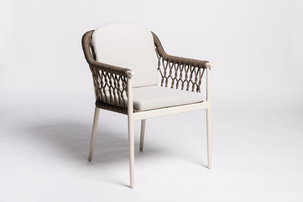 Matte Dining Chair